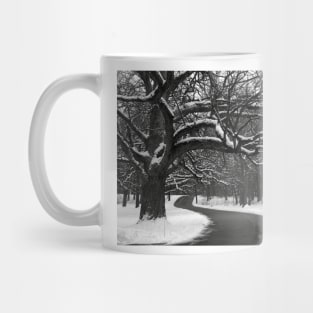 Winding Path Mug